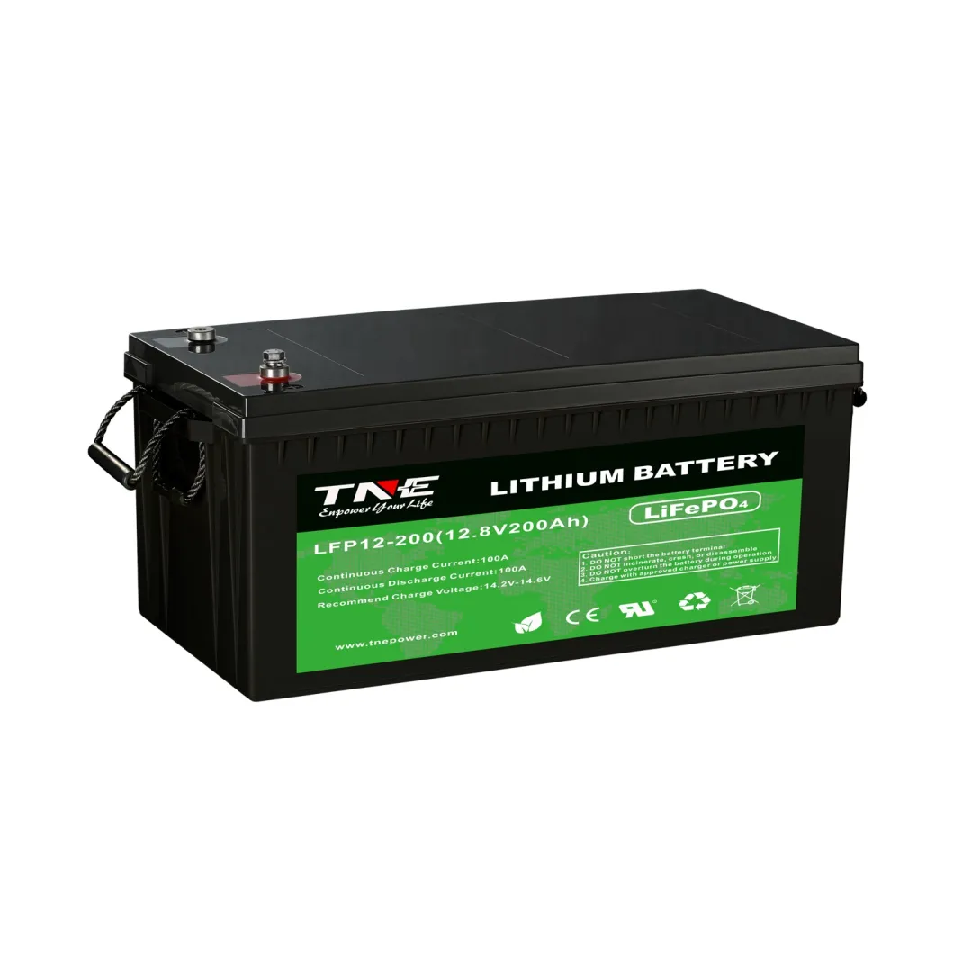 Deep Cycle LiFePO4 12V 200ah Lithium Ion/Li Ion Battery Pack with BMS