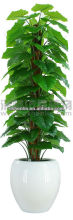 new production high imitation artificial alocasia tree on sale