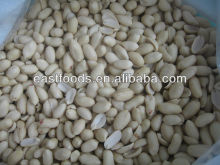 Chinese long type peanuts