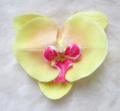 Hurtownia motyl orchidea kwiat włosów Clip sztucznych kwiatów dla dziecka opaski Phalaenopsis Barrettes nakrycia głowy
