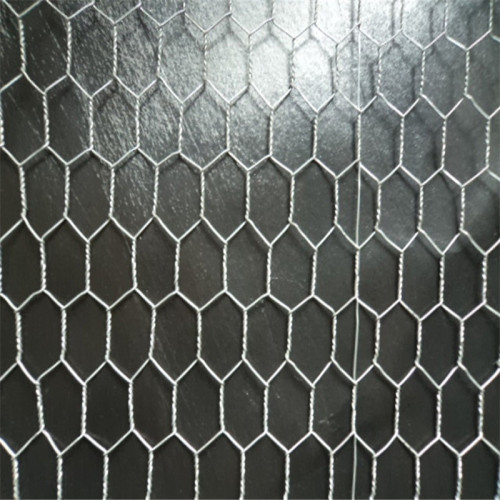 Hexagonal Wire Mesh Netting for Chicken PVC Coated