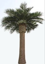 8m high large fatcory artificial palm trees date palm trees