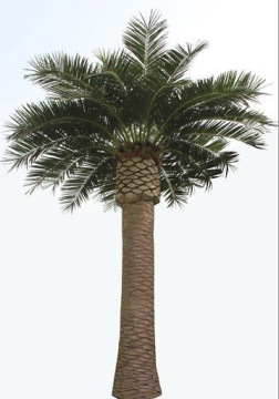 8m high large fatcory artificial palm trees date palm trees