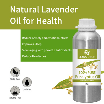 Aire de sabor al por mayor de sabor a granel Aceite de cineol Cineol Eucalipto globulus Eucalyptus Oil esencial para sauna