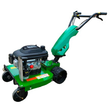 9HP Portable Hand Push Lawn Mower - Small Crawler Diesel Lawn Mower
