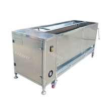 Industrial Dates Cleaning Machine for Fruit and Vegetable Washing