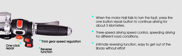 Adult Electric Motorbike Electric Motorcycle in Electric Scooters with New Design