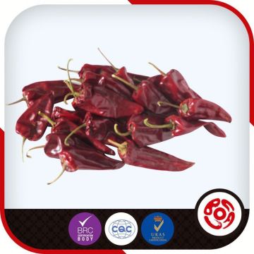 2014 New Crop Yidu Chili Seeds