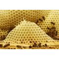 Cera de abejas amarilla de calidad alimentaria cera de abejas a granel