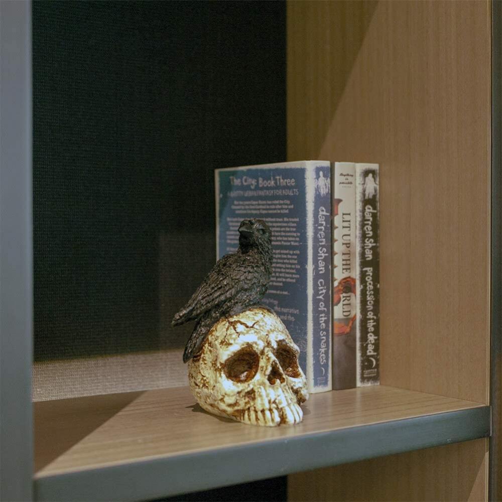 Рейвен на черепе Хэллоуин домашний декор