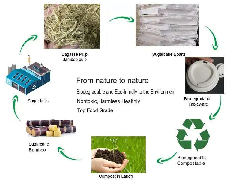 Packaging Raw Materials