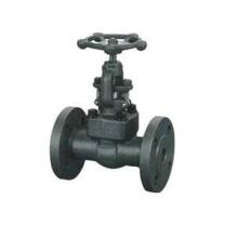Forged Steel Integral Flanged Globe Valve