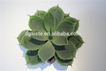 brand name plastic small multicapacity process artificial small bonsai decor