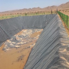 Geomembrane with primary and secondary containment