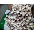 best way to preserve fresh garlic