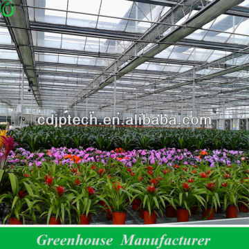 Vegetable and Flowers Growing Greenhouse