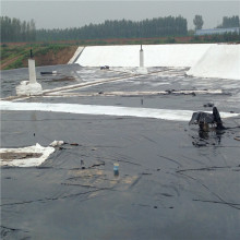 Pond liner geo membrane hdpe for landfill