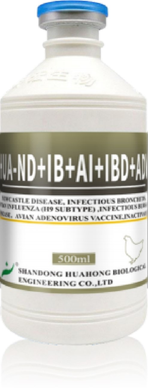 HUA-ND+IB+AI+IBD+AD HUA-ND+IB+AI+IBD+AD