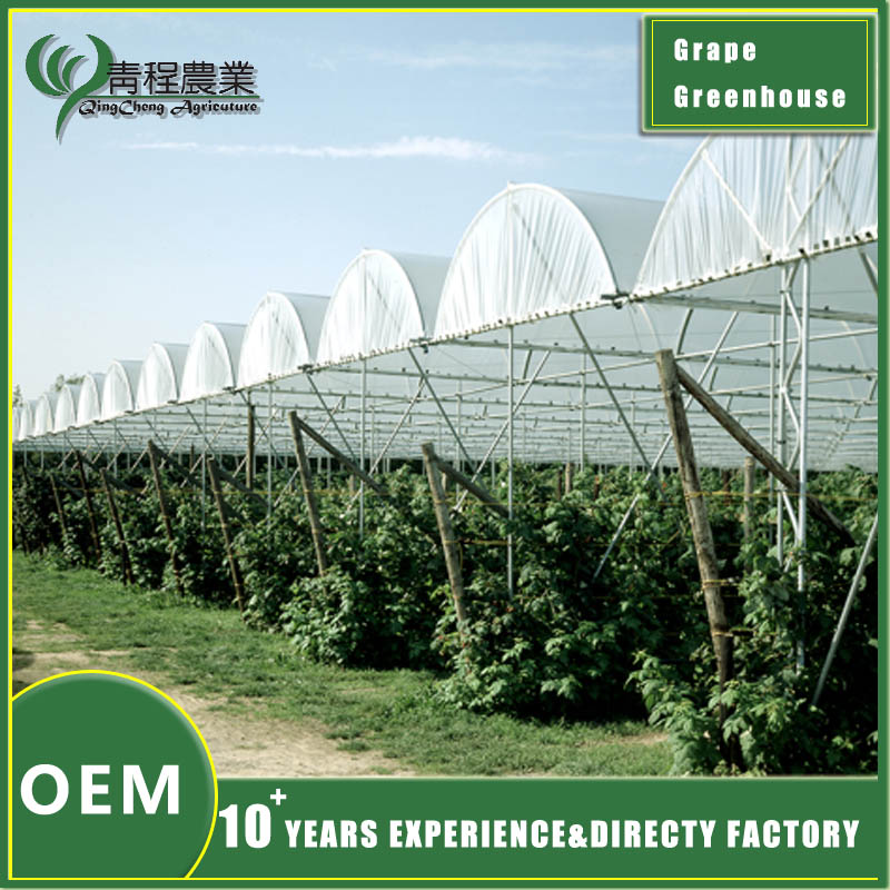 Модель виноградной теплицы grape greenhouse model