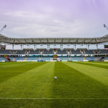 Easy installation and maintenance grass