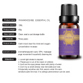 Certificated Natural Frankincense Essential Oil 10ml OEM/ODM