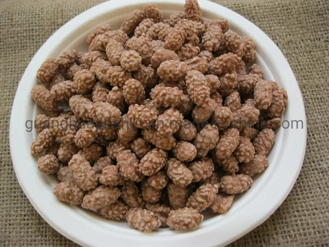 Hot Sale Coated Peanuts From China