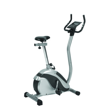 Magnetic motorized exercise bike