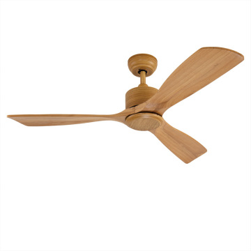 LEDER Electric Contemporary Ceiling Fans