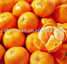 Yongchun Mandarin orange(kino)