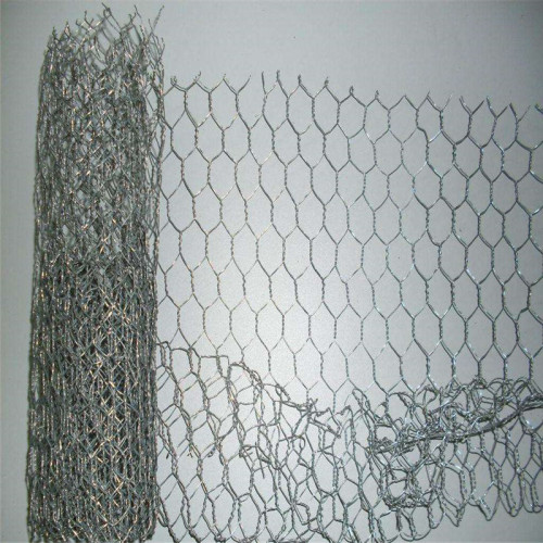 Wire mesh ayam elektro galvanis hot dip