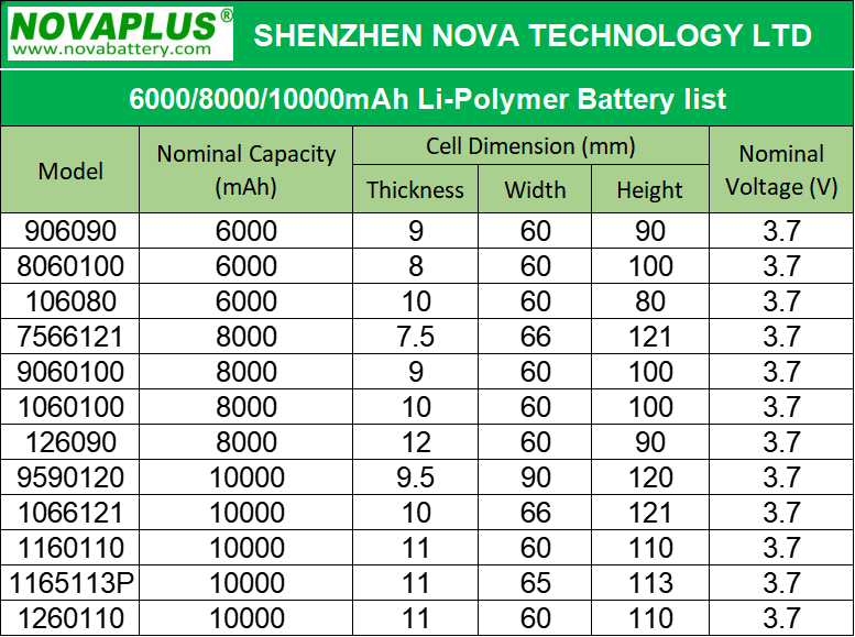 High-Quality Watch Battery 10/9843MPIV