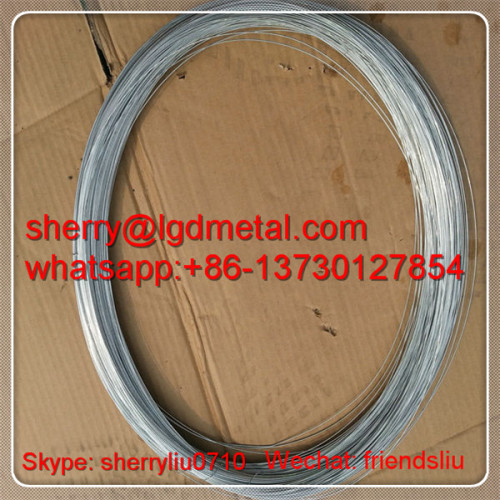 Binding Wire( factory)/binding iron wire/gi binding wire---GWSL433