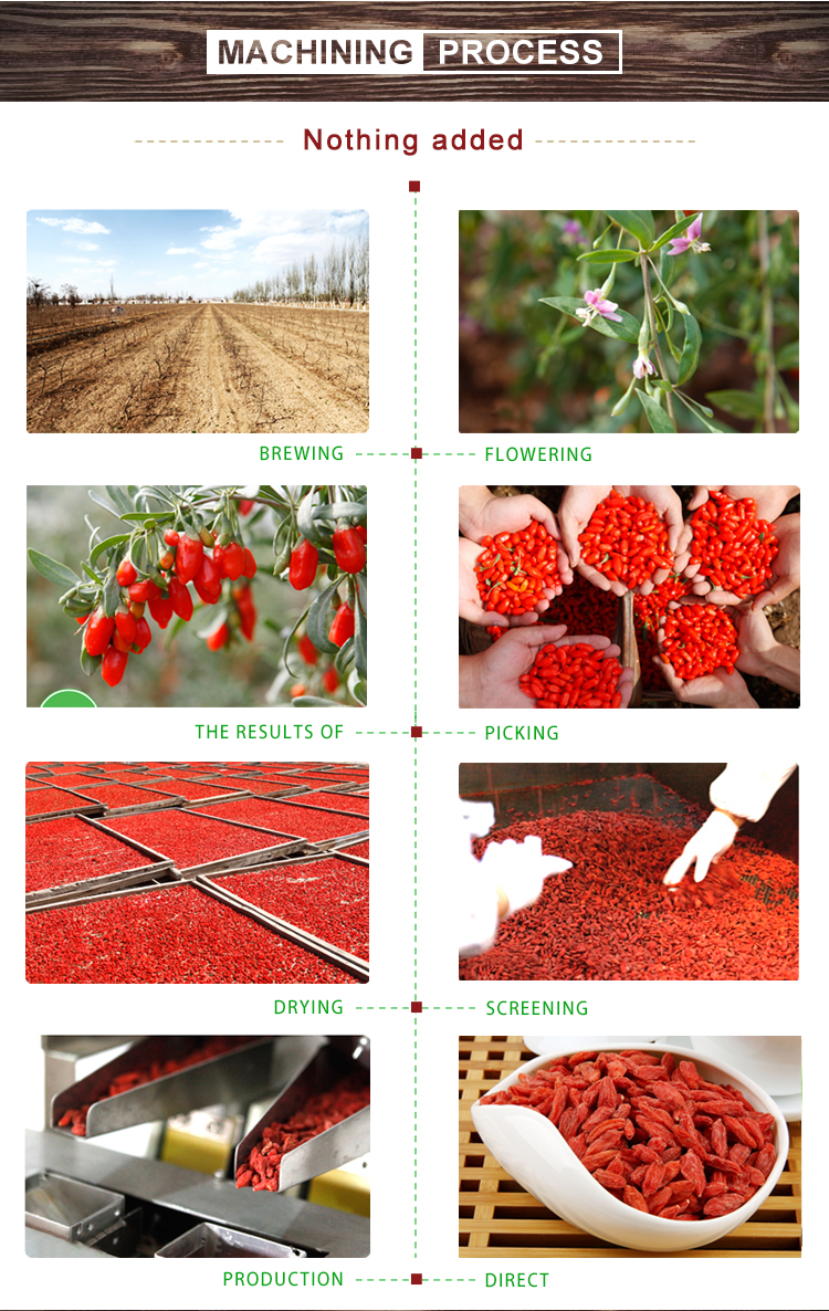 China 2019 New Product Supply with Factory Hot Sale Organic Brand Goji WolfBerry