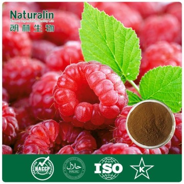 100% organic raspberry ketone powder for bodybuilding supplement