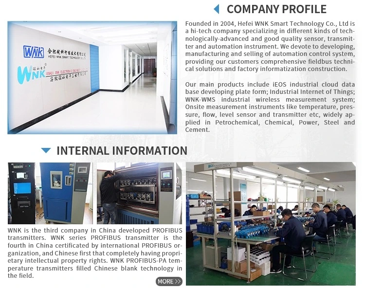 4-20mA Output Smart Temperature Switch Support Modbus