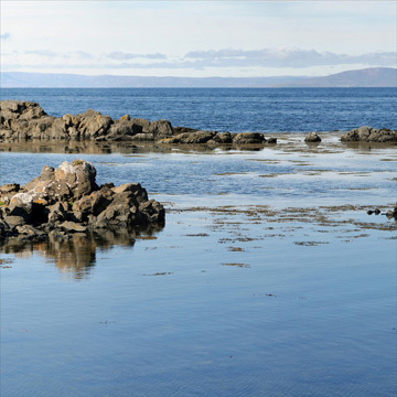 Decorative Pictures Cay Photo