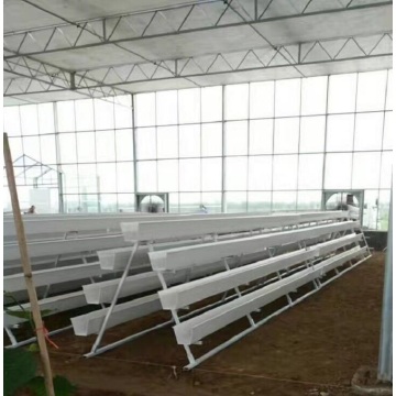 NFT Hydroponic Growing Gully for Greenhouse