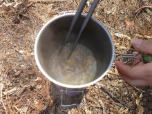 Wood burning cast iron stove with boiler