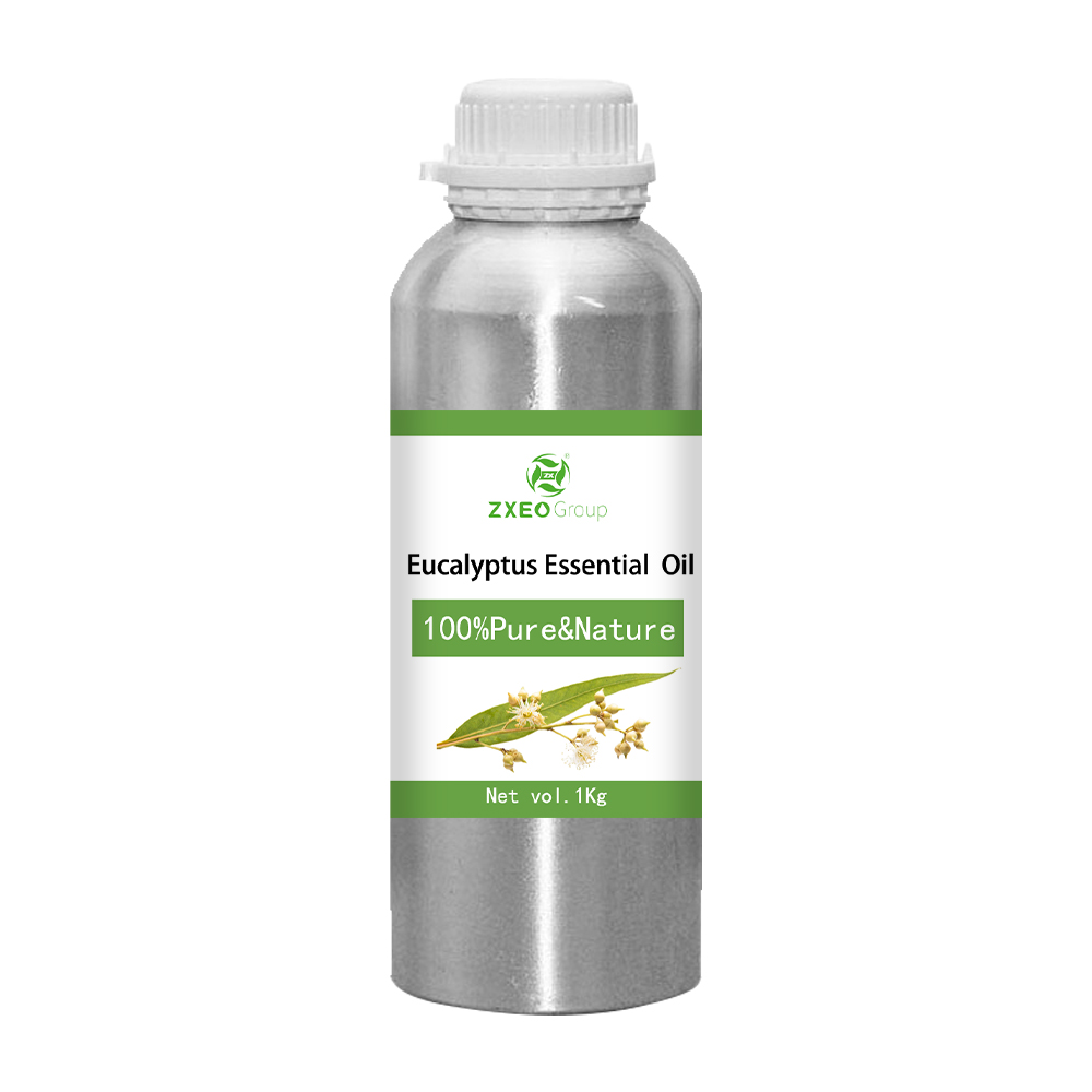 Huile essentielle d&#39;eucalyptus organique Grade thérapeutique non dilué 1 kg