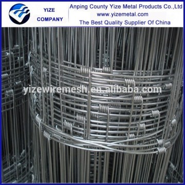 10cm*10cm deer guard fences , Residential Fences,galvanized graduated woven wire