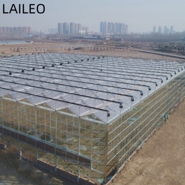 Complete Glass Agricultural Greenhouse with Hydroponic System Turnkey Project