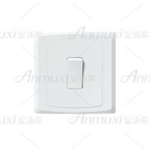 1 Gang 1 Way Switch