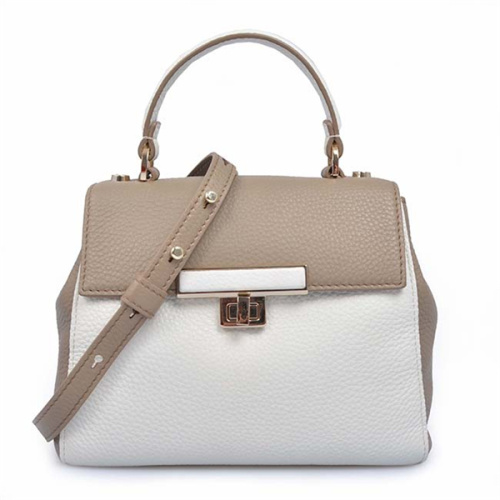 High Fashion Purse Detachable Cross-Body Tote Women