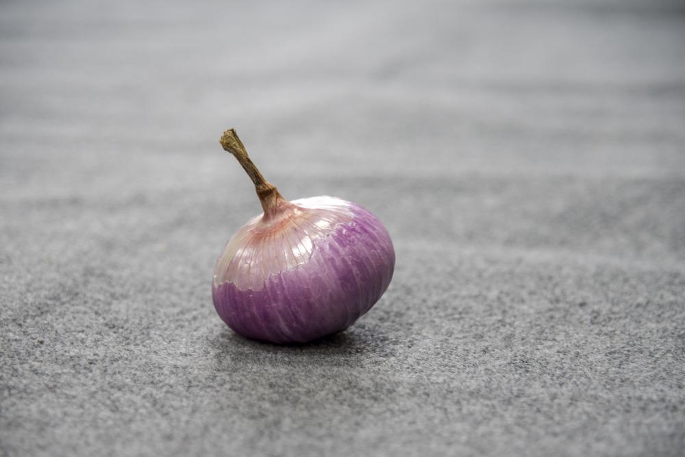 Fresh red onions size 8cm up