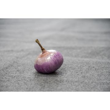 Fresh red onions size 8cm up