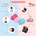 4 Pack Makeup Sponge Blender Set