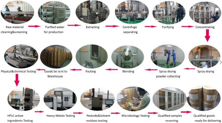 Total Natrual sweetener Stevia Extract manufacturer