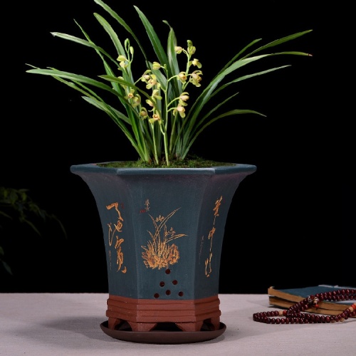 Panela de flor de orquídea bonsai de cerâmica