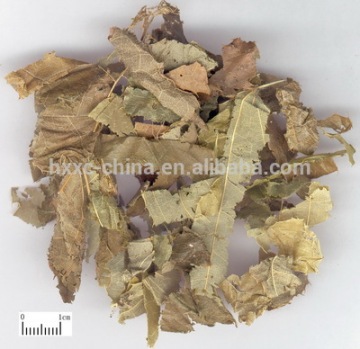 Natural Plant Extract Epimedium Herb Herba Epimedii Yin Yang Huo Xian Ling Pi