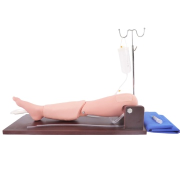 DARHMMY Medical Science Model for Bone Marrow Puncture and Femoral Venipuncture Mannequin